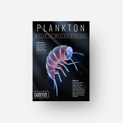 Plankton for Dummies